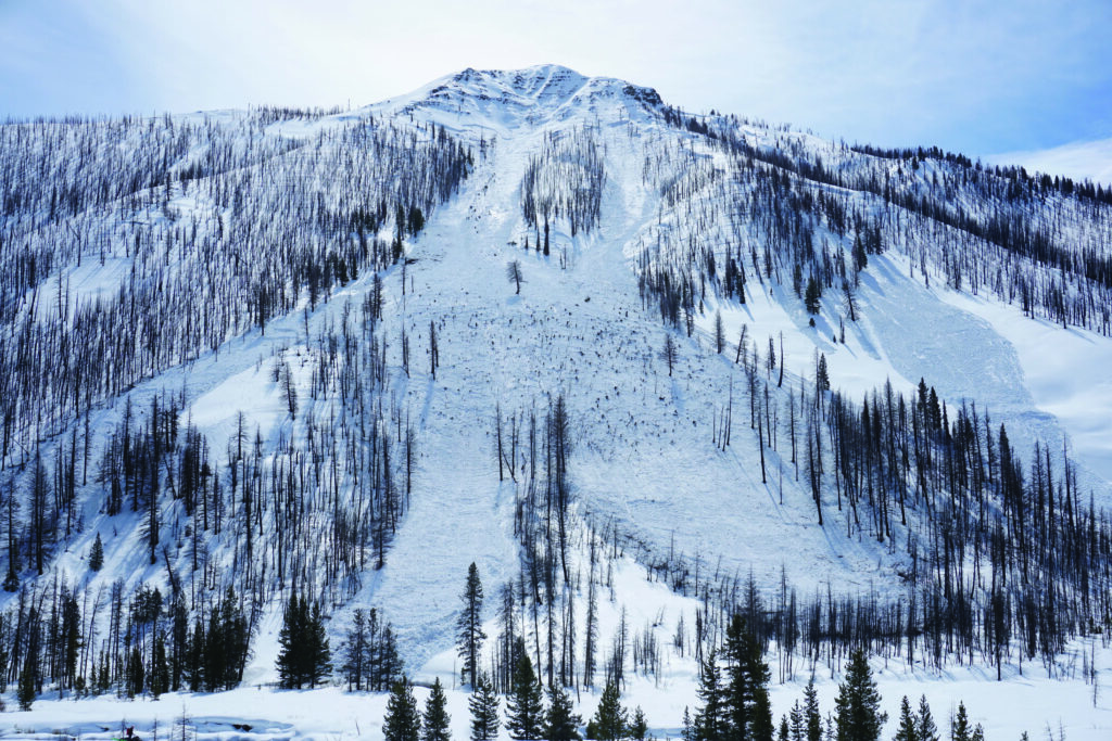 Slab avalanche in the Baker Creek drainage