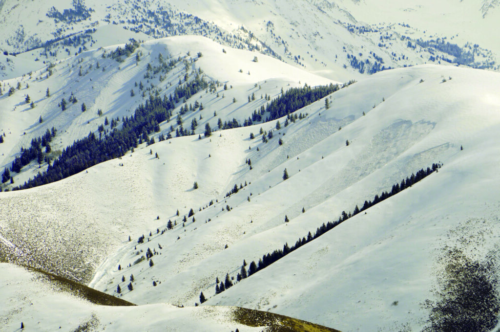 Natural slab avalanche activity on 22 23 March in the Pioneer Mountains