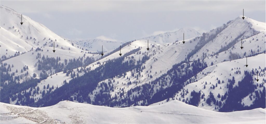 Widespread natural activity on 22-23 March in the Timber and Federal Creek drainages, Pioneer Mountains