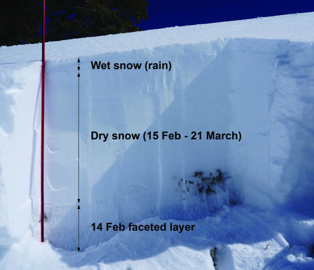 Crown profile at location within the fluctuating rain-snow boundary