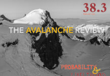 Women in the Avalanche Industry (Part 1)