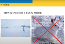 Seminar: Behavioral Economics and Avalanche Decision-Making