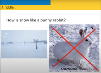 Seminar: Behavioral Economics and Avalanche Decision-Making