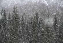 The Avalanche Chaser – Steve Conger