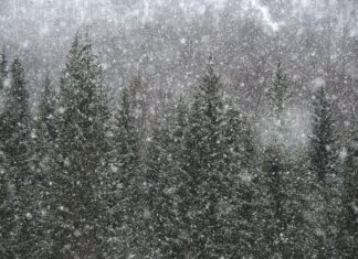 The Avalanche Chaser – Steve Conger