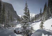 Friends of CAIC Introduces Forecast Pledge