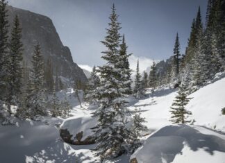 Friends of CAIC Introduces Forecast Pledge