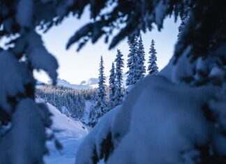 Seminar: Avalanches and Climate Change