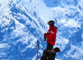 Research Ask: Ski Patrol Survey