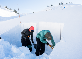 Out the Gate: Avalanche Safety in the Age of Covid