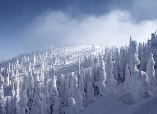 Seminar: Effective Avalanche Communication