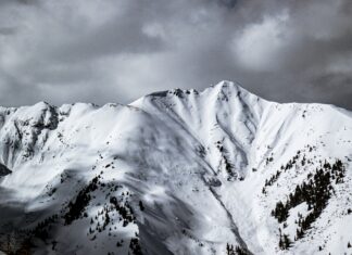 Survey: Effect of COVID-19 Pandemic on Backcountry Skiing & Snowboarding