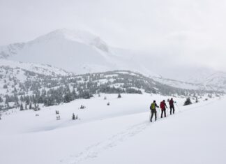 Avalanche Fatalities, COVID, and Backcountry Skiing: The Real Story Behind a Historic Season