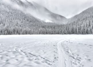 Scott Savage on Habits That Work for Him