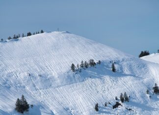 Managing Avalanche Risk Part 3: Avalanche Forecasting