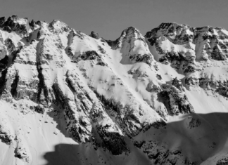 Contribute to Volume 42