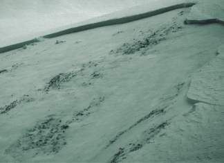 Letter from the Editor: Fall 2023