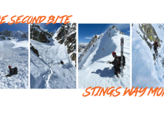 The Second Bite Stings Way More