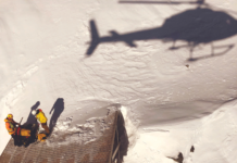 Letter from the Editor: Late Winter 2024