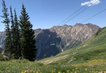 A3 BOARD CALLS FOR NOMINATIONS