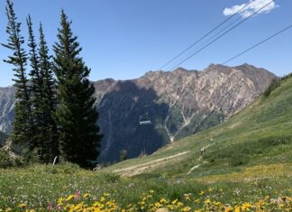 A3 BOARD CALLS FOR NOMINATIONS