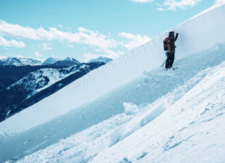 Letter from the Editor: Late Winter 2026